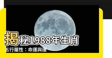 1988年五行缺什么|1988年8月24日出生的人五行缺什么？